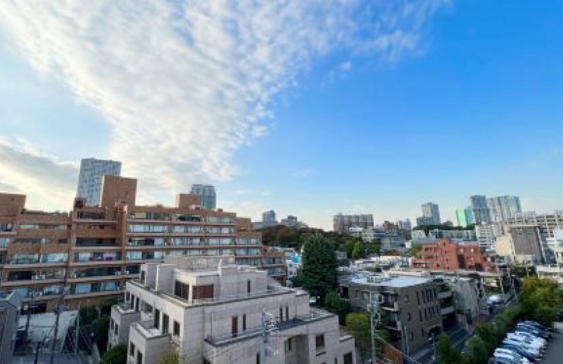 東京都港区高輪２丁目 眺望写真