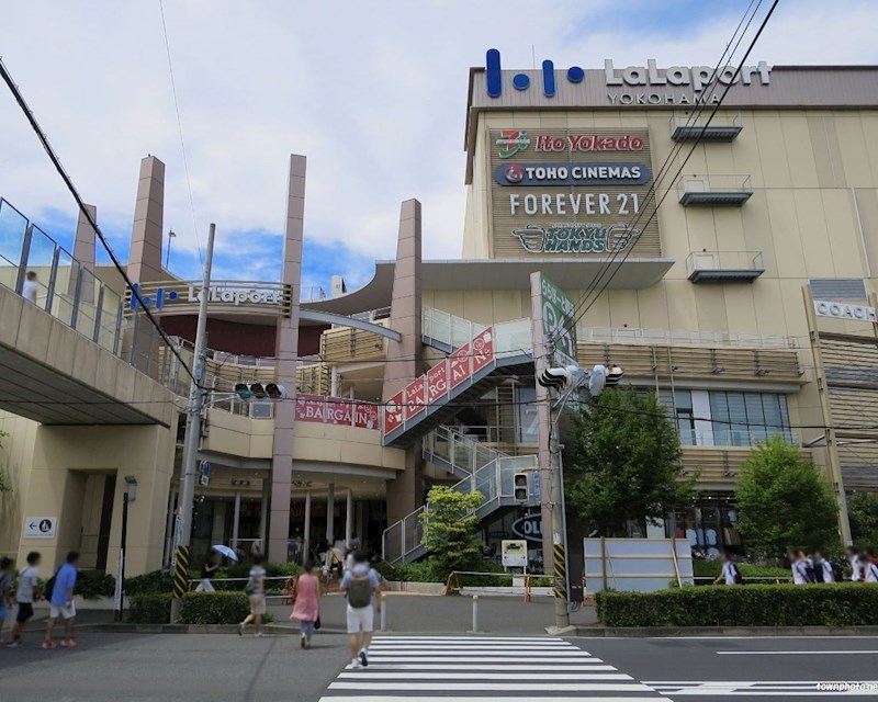 神奈川県横浜市緑区東本郷４丁目 その他