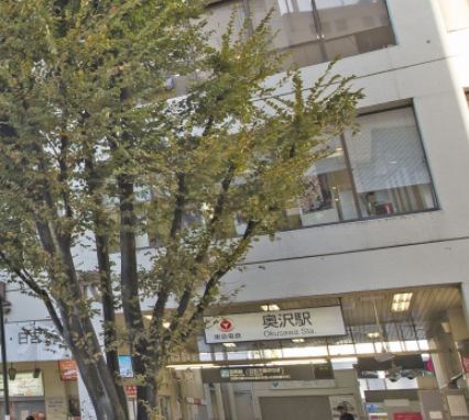 東京都世田谷区東玉川１丁目 その他
