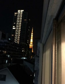 東京都港区麻布台３丁目 眺望写真