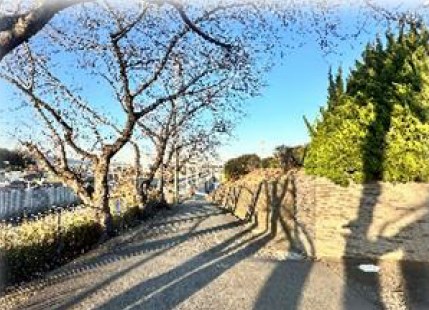 神奈川県平塚市広川 現地写真