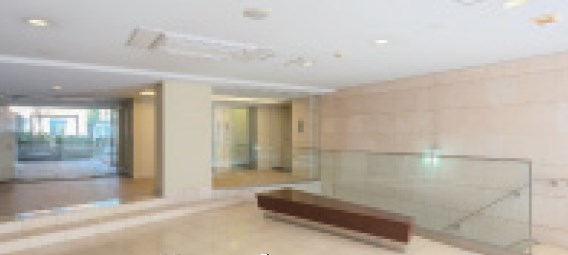 東京都港区芝公園３丁目 共用部写真（エントランス）