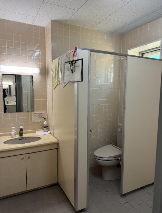埼玉県本庄市児玉町宮内 内観写真（トイレ）