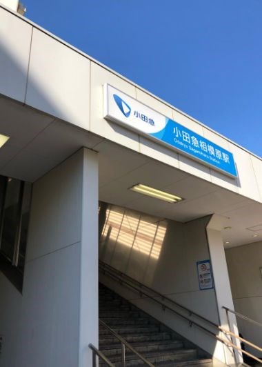 神奈川県座間市相模が丘６丁目 その他