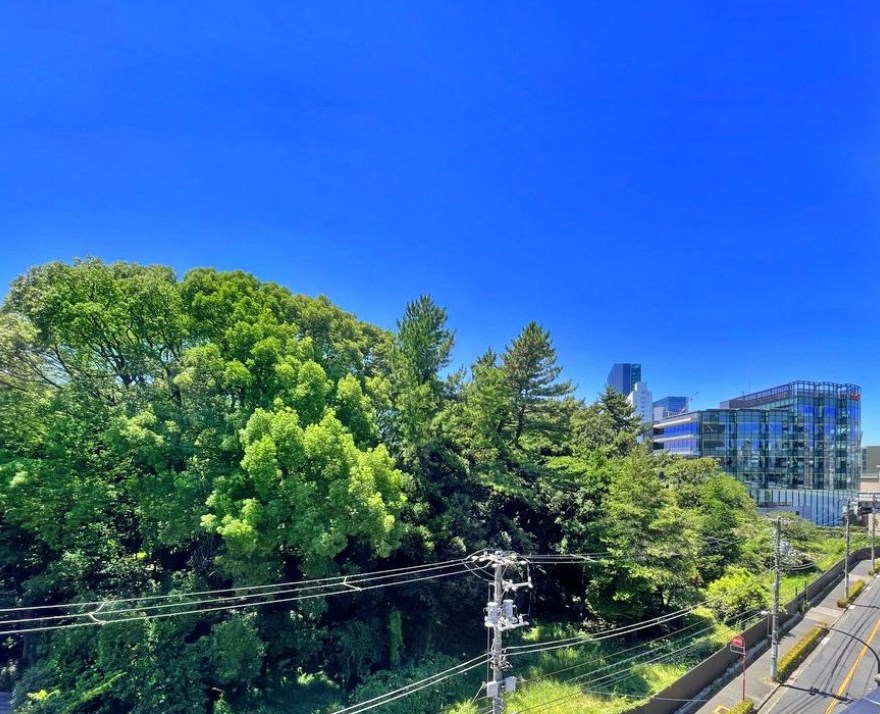東京都港区南青山７丁目 眺望写真