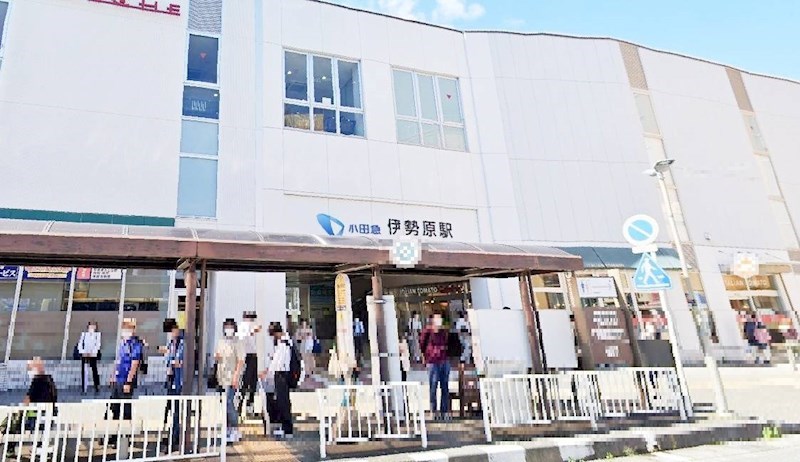 神奈川県伊勢原市三ノ宮 その他