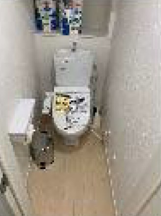 東京都中野区南台５丁目 内観写真（トイレ）