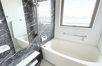 東京都港区海岸２丁目 内観写真（浴室）