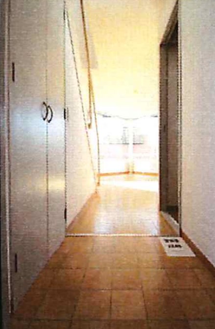 埼玉県所沢市松葉町 内観写真（内装）