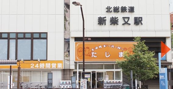 東京都葛飾区鎌倉４丁目 その他