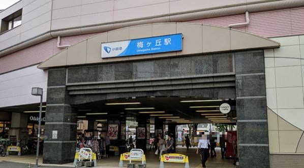 東京都世田谷区梅丘１丁目 その他