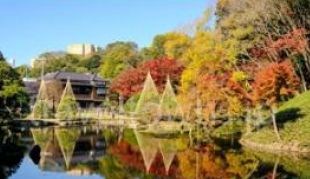 東京都新宿区西早稲田１丁目 その他