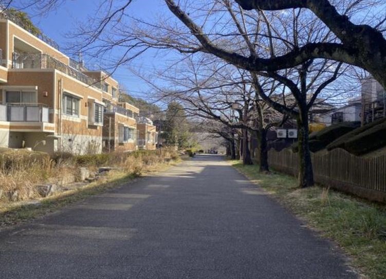 東京都八王子市南大沢５丁目 現地写真