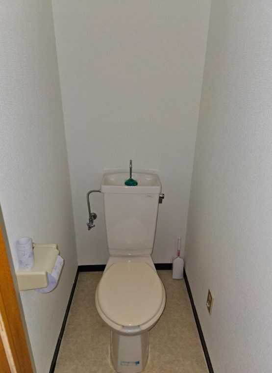 埼玉県川越市上野田町 内観写真（トイレ）