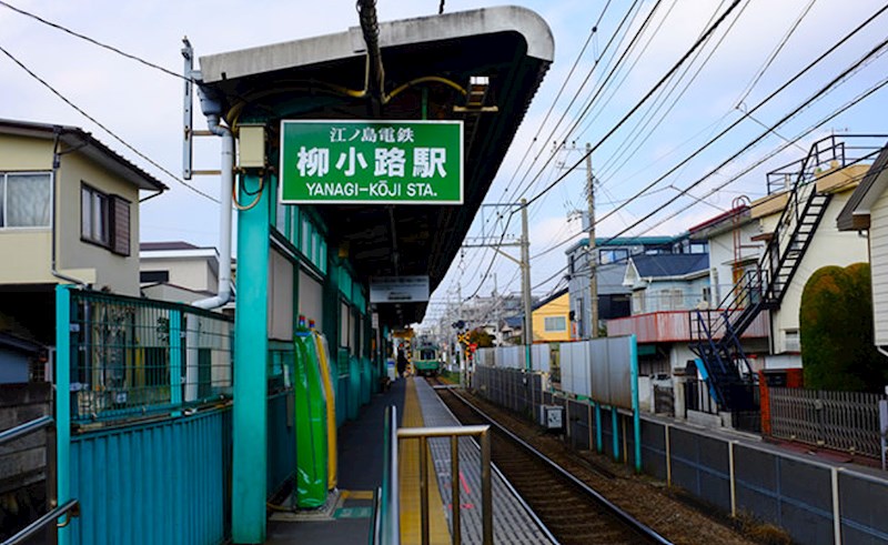 神奈川県藤沢市鵠沼藤が谷１丁目 その他