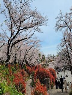 東京都北区上中里３丁目 その他