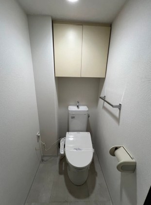 神奈川県秦野市堀山下 内観写真（トイレ）