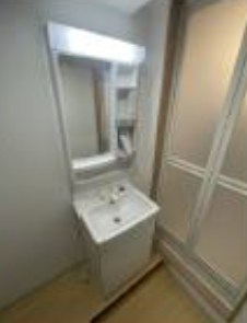 千葉県松戸市上本郷 内観写真（洗面台・洗面所）
