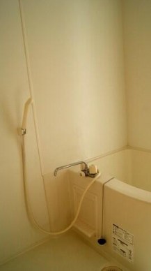 埼玉県本庄市児玉町金屋 内観写真（浴室）