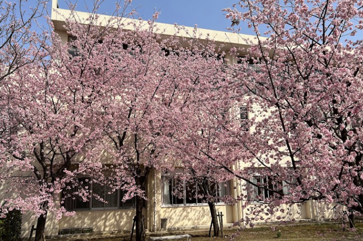 東京都板橋区双葉町 その他