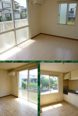 神奈川県秦野市下大槻 内観写真（内装）