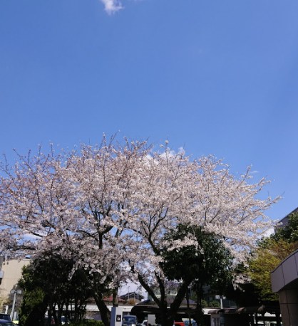 千葉県千葉市稲毛区穴川３丁目 その他