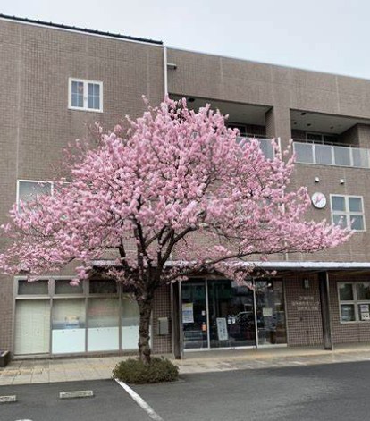 神奈川県藤沢市打戻 その他