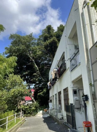千葉県松戸市馬橋 その他