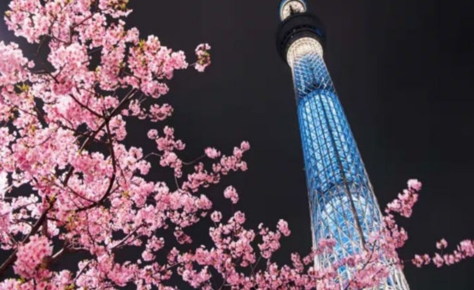 東京都墨田区向島５丁目 眺望写真
