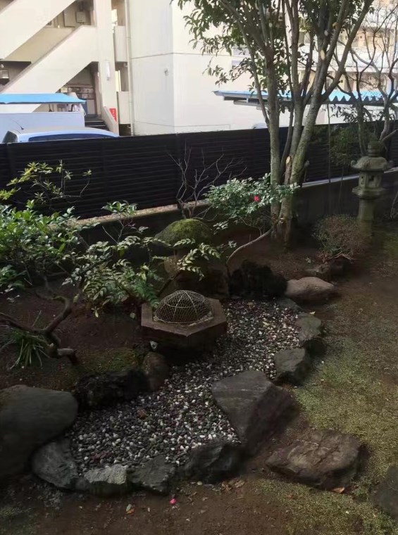 東京都江戸川区中央３丁目 現地写真