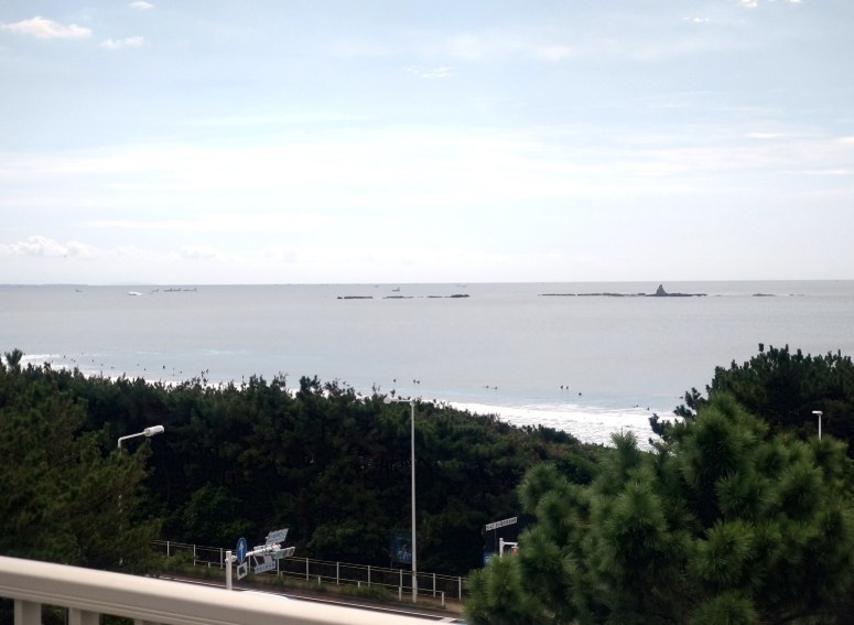 神奈川県茅ヶ崎市東海岸南１丁目 その他