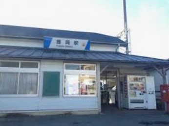 栃木県栃木市藤岡町藤岡 現地写真