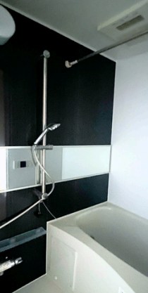 東京都港区南麻布１丁目 内観写真（浴室）