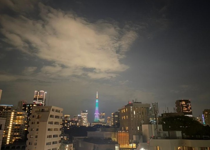 東京都港区三田４丁目 眺望写真