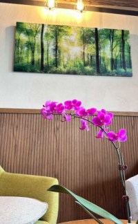 千葉県松戸市樋野口 その他