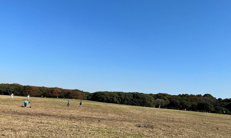 埼玉県三郷市高州１丁目 その他