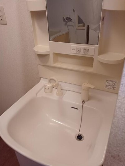 栃木県佐野市若宮下町 内観写真（洗面台・洗面所）