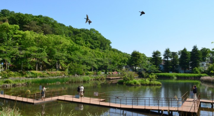 神奈川県横浜市青葉区藤が丘１丁目 その他