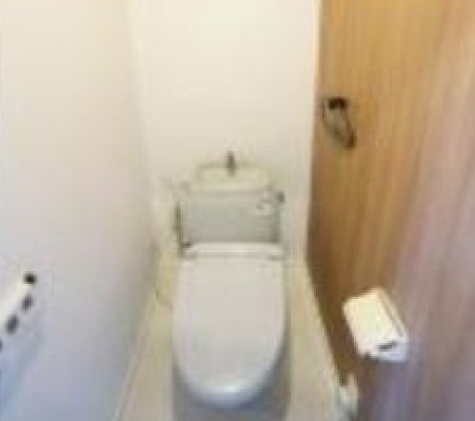 茨城県石岡市石岡 内観写真（トイレ）