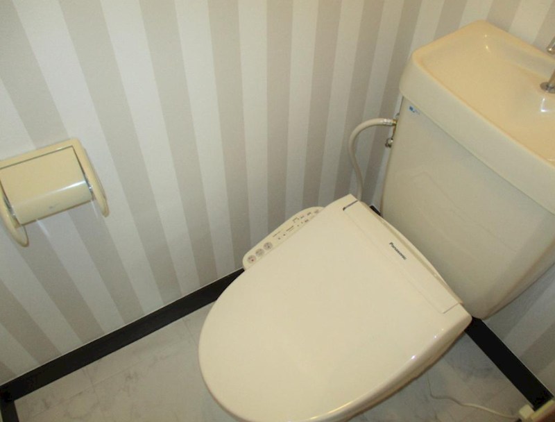 茨城県稲敷市江戸崎乙 内観写真（トイレ）
