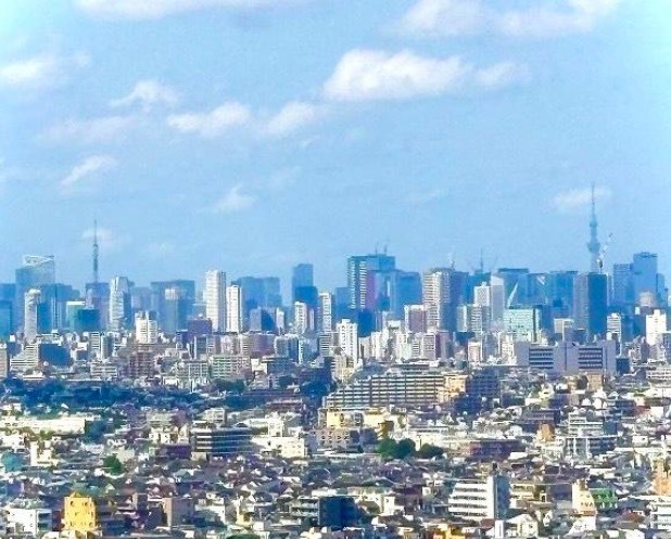 東京都大田区下丸子４丁目 眺望写真