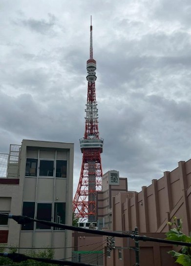 東京都港区虎ノ門３丁目 眺望写真