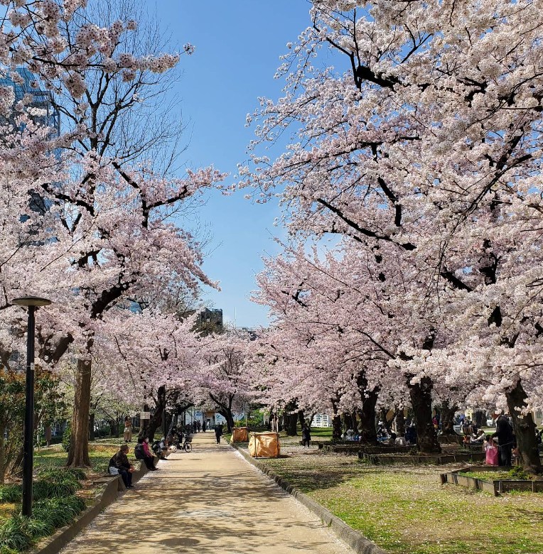 東京都墨田区石原４丁目 その他