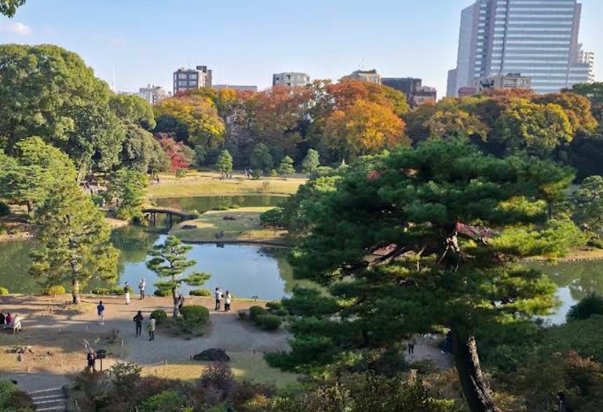 東京都文京区本駒込６丁目 その他