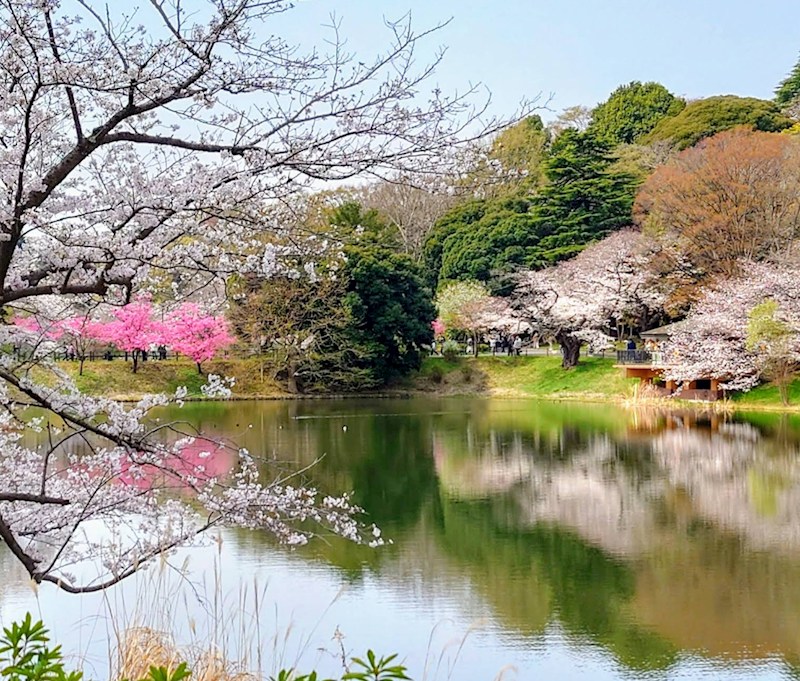 神奈川県横浜市鶴見区下末吉５丁目 その他