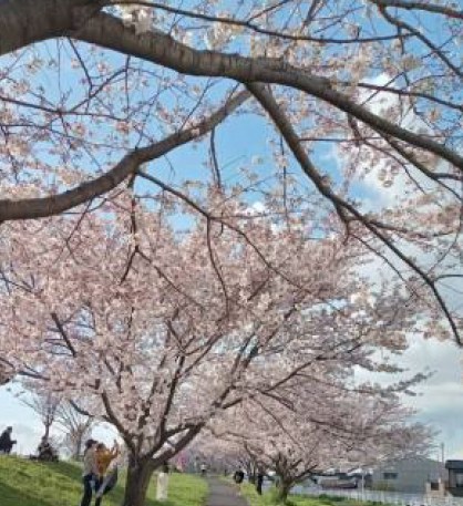 東京都葛飾区西水元２丁目 その他