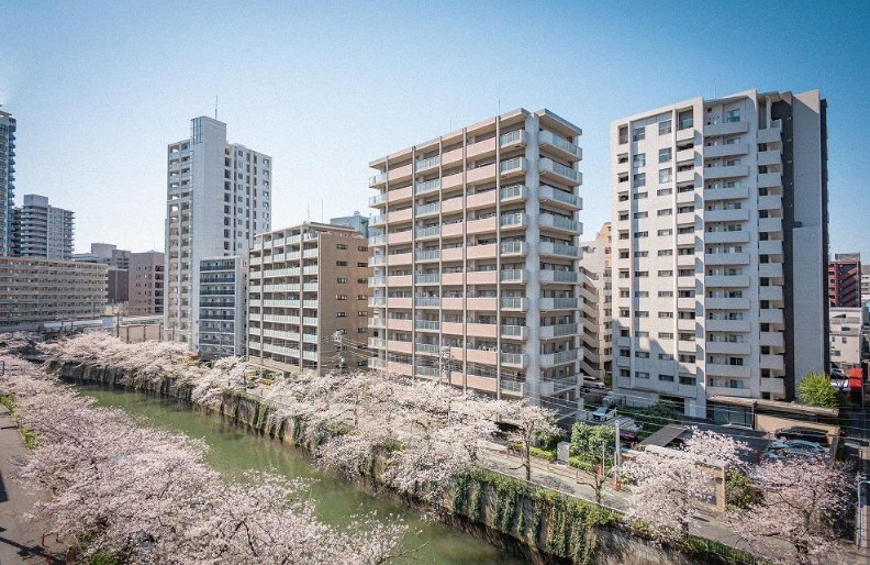 東京都品川区上大崎４丁目 現地写真