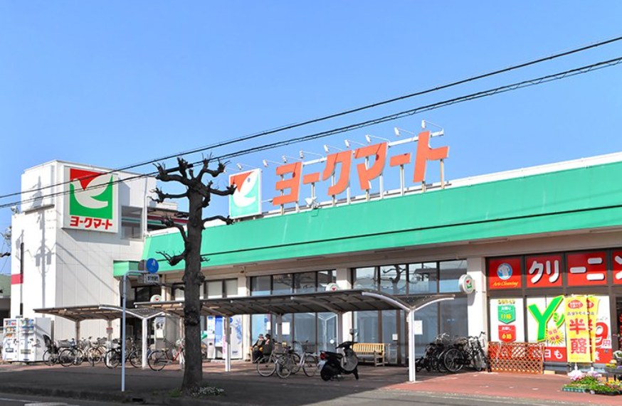 神奈川県小田原市下新田 その他