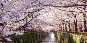 東京都目黒区青葉台１丁目 その他
