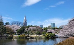 東京都新宿区歌舞伎町２丁目 その他